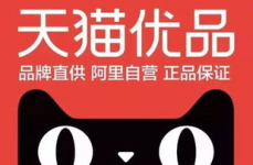 淘宝网 天猫,电商巨头的双面魅力与市场策略解析