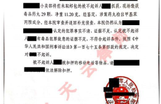 刑事法律意见书,刑事法律意见书要点解析与案例分析
