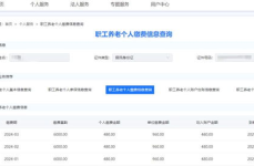 社保查询网官网,官网操作详解及多种查询途径”