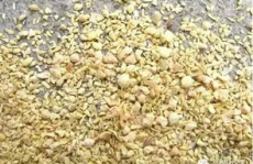美豆粕,美豆粕市场动态与影响因素解析