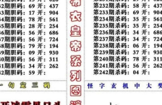3d字谜总汇,趣味与智慧交织的数字谜题之旅