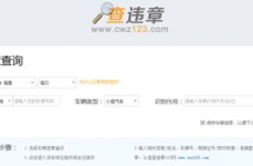 网上查询车辆违章,轻松查询车辆违章信息
