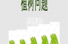 植树问题ppt,数学模型与生态意识的融合